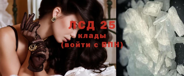 шишки Билибино
