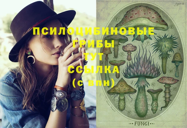 2c-b Баксан