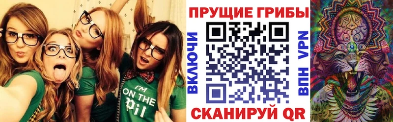 Галлюциногенные грибы мухоморы  Мончегорск 